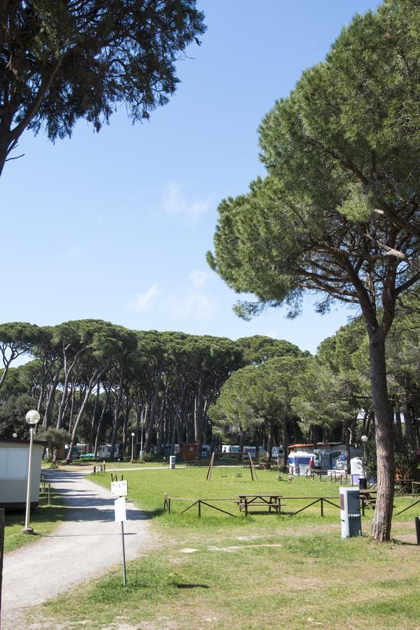 Campeggio Bocca Di Cecina Marina di Cecina Bagian luar foto
